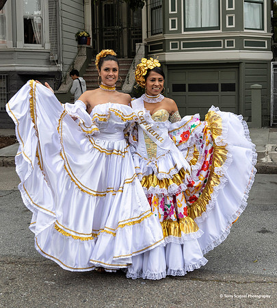 Carnaval SF 2019 8 (Terry Scussel)