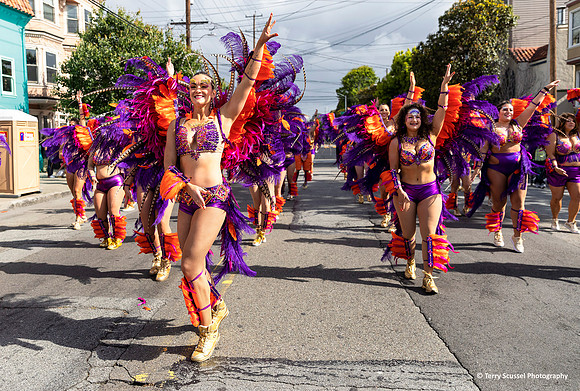 Carnaval SF 2019 75 (Terry Scussel)
