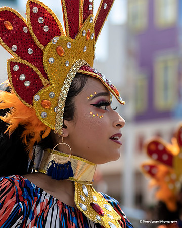 Carnaval SF 2019 79b (Terry Scussel)