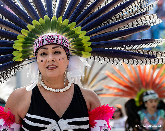 Carnaval SF 2019 84 (Terry Scussel)