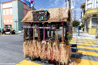 Carnaval Festival 3 (Terry Scussel)