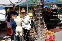 Carnaval Festival 7 (Terry Scussel)