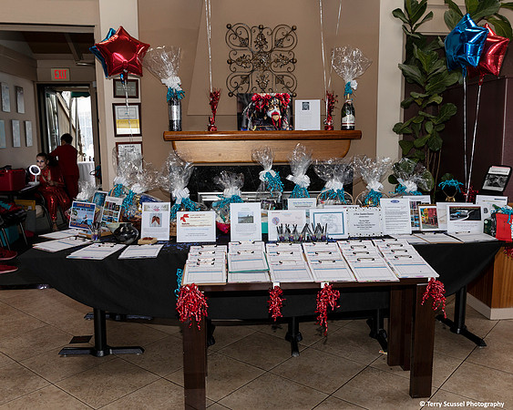 Esforco Fundraiser 0 (Terry Scussel)