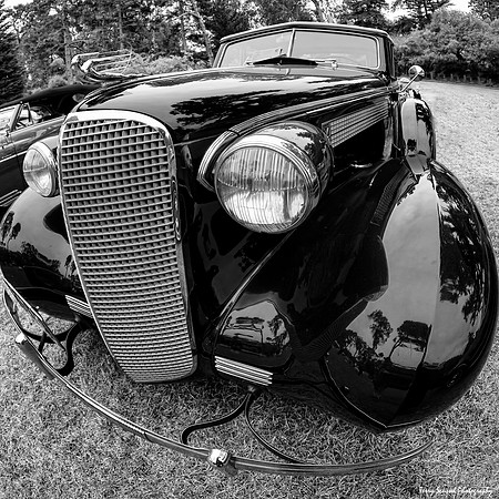 Cadillac 1937 Fisheye, GGP (Terry Scussel)