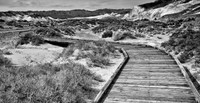 Death Valley Boardwalk
