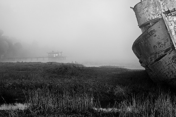 Tomales Bay and Point Reyes - Fog