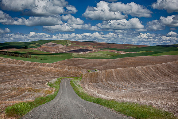 After Harvest 5b HDR