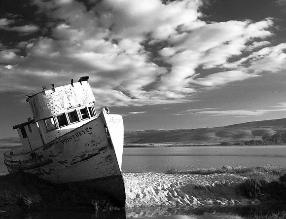 The Point Reyes2