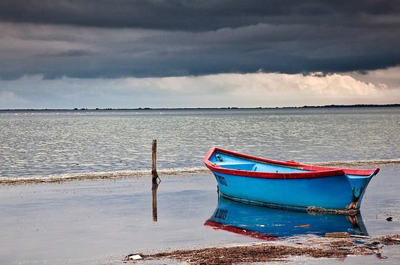 Camargue Boat 2