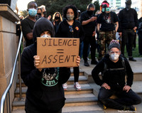 Solidarity w-Portland Rally 13 (Terry Scussel)