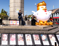 Vigil for Democracy 15 (Terry Scussel)