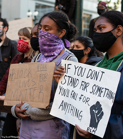 Solidarity w-Portland Rally 28 (Terry Scussel)