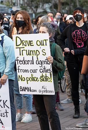 Solidarity w-Portland Rally 11 (Terry Scussel)
