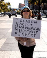 Vigil for Democracy 4 (Terry Scussel)