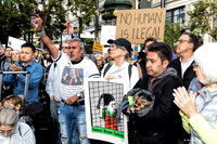Lights for Liberty SF 12 (Terry Scussel)