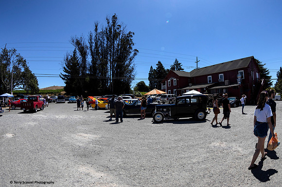 Rollin' Rosies Revved Up Review 17