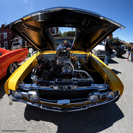 Rollin' Rosies Revved Up Review 26
