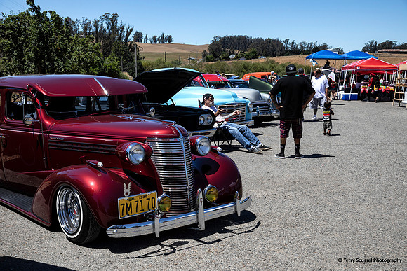 Rollin' Rosies Revved Up Review 19