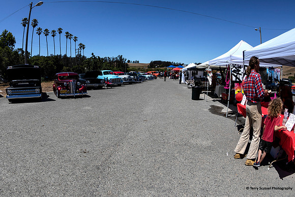 Rollin' Rosies Revved Up Review 18