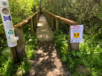 Eastwood Park, Tam Valley Pandemic 10 (Terry Scussel)