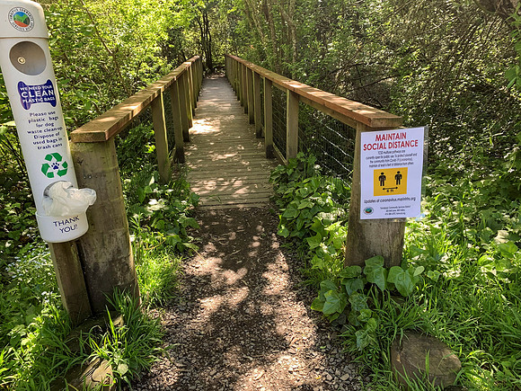 Eastwood Park, Tam Valley Pandemic 10 (Terry Scussel)