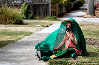 San Rafael PorchFest 13 (Terry Scussel)