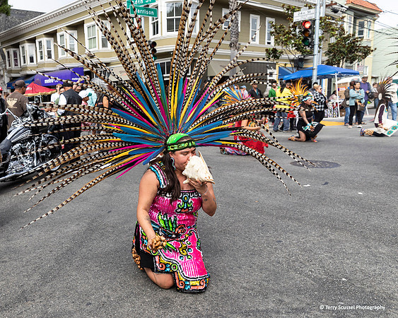 Fiesta de las Americas 10