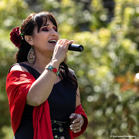 Fiesta de las Americas 16
