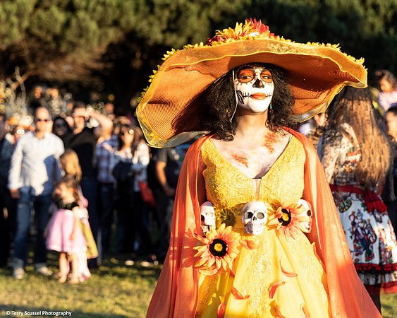 Dia de los Muertos 1 (Terry Scussel)