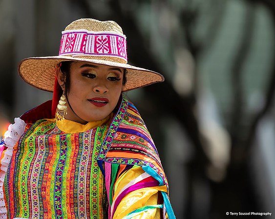 Carnaval SF 2019 15 (Terry Scussel)
