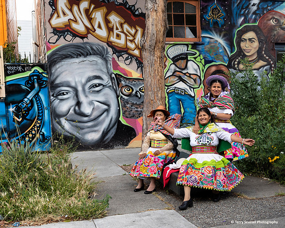 Carnaval SF 2019 6 (Terry Scussel)