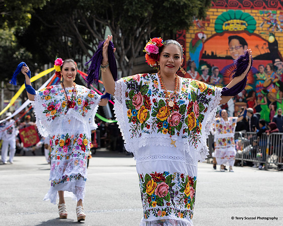 Carnaval SF 2019 21 (Terry Scussel)