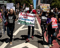 Day w-o an Immigrant 6