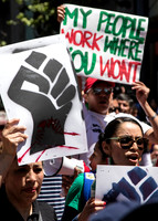 Day w-o an Immigrant 15