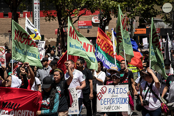 Day w-o an Immigrant 24