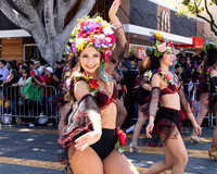 Carnaval Parade 17