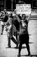 Shut the Camps 9 (TerryScussel) B&W