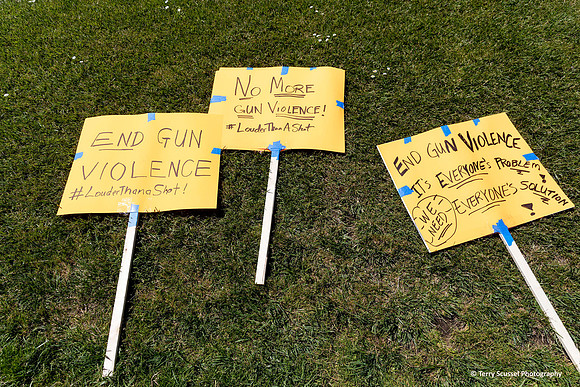 Moms Demand Action 15 (Terry Scussel)