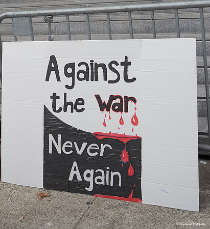 Anti-Putin SF City Hall 11 (© Terry Scussel)