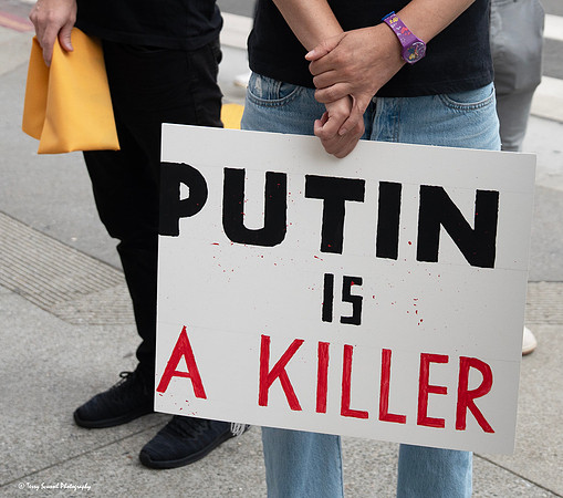 Anti-Putin SF City Hall 12 (© Terry Scussel)