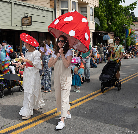 Fairfax Parade & Festival 2024 - 26 (Terry Scussel)