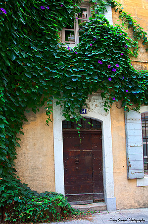 Arles Door 1