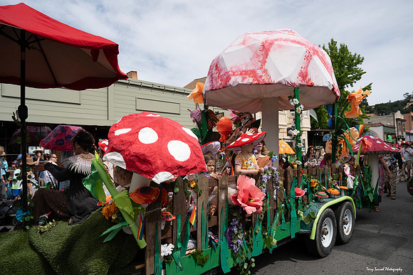Fairfax Parade & Festival 2024 - 69 (Terry Scussel)