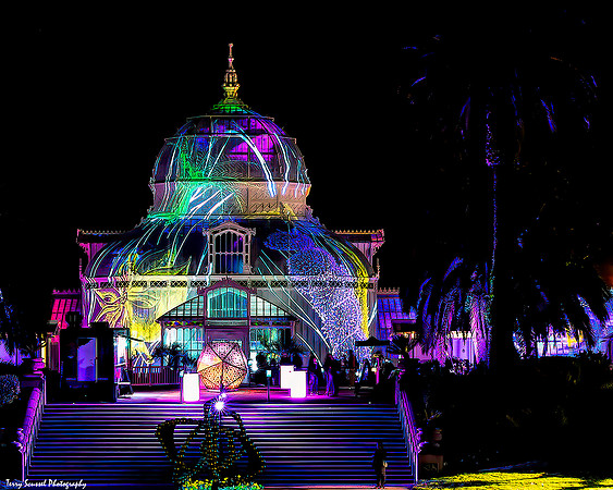 Conservatory of Flowers 3, GGP (Terry Scussel)