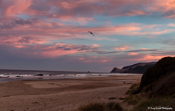 Lincoln Beach Sunrise 1, Oregon jpg