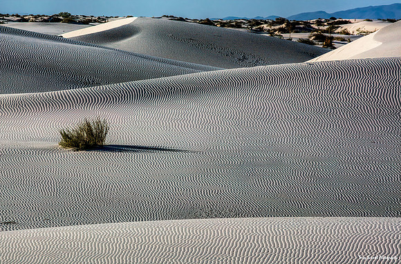 Sand - White Sands 4