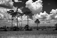 Florida