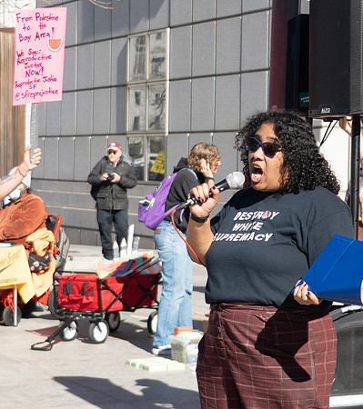 Reproductive Justice SF 2 (© Terry Scussel)