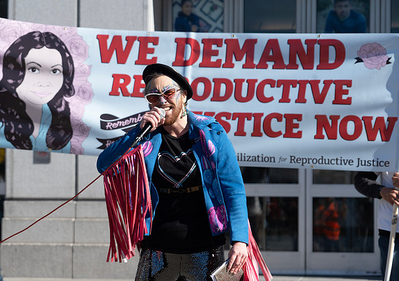 Reproductive Justice SF 9 (© Terry Scussel)