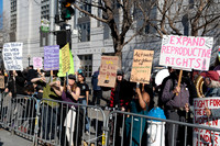 Reproductive Justice SF 24 (© Terry Scussel)